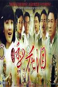 梨花泪-民国传奇大戏(12碟装完整版)DVD