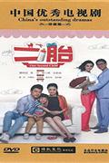二胎-中国优秀电视剧场(十二碟装)DVD